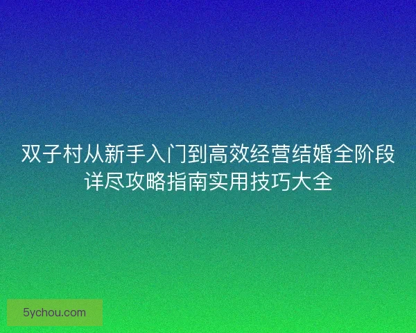 双子村从新手入门到高效经营结婚全阶段详尽攻略指南实用技巧大全